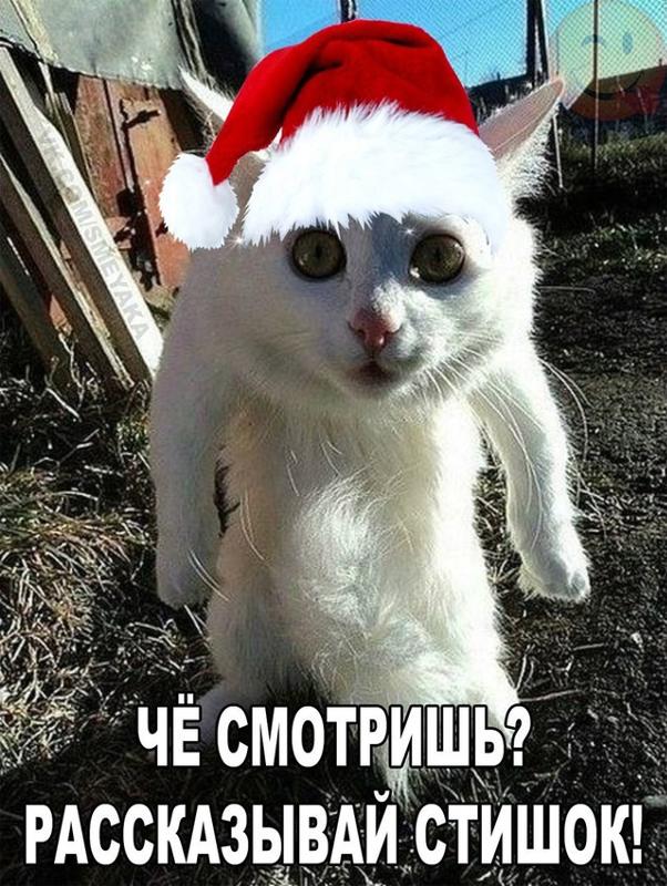 А САМ УКУРЕННЫЙ СТОЮ КОШУ НА ДУРОЧКУ MP3 СКАЧАТЬ БЕСПЛАТНО А САМ УКУРЕННЫЙ СТОЮ КОШУ НА ДУРОЧКУ MP3 СКАЧАТЬ БЕСПЛАТНО