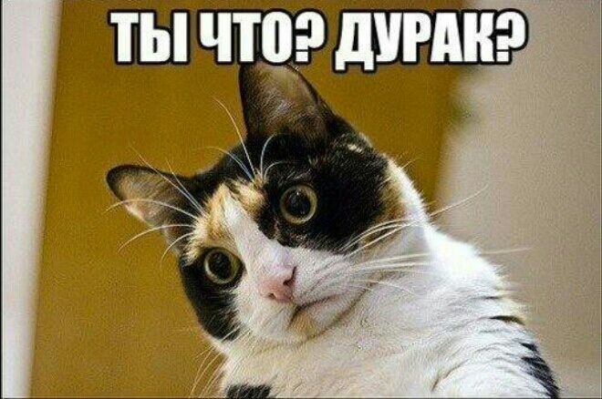 Картинки ты дурак или как, открытки анимация