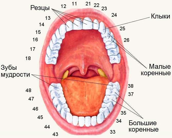 Раскраска страшная маска Раскраска страшная маска