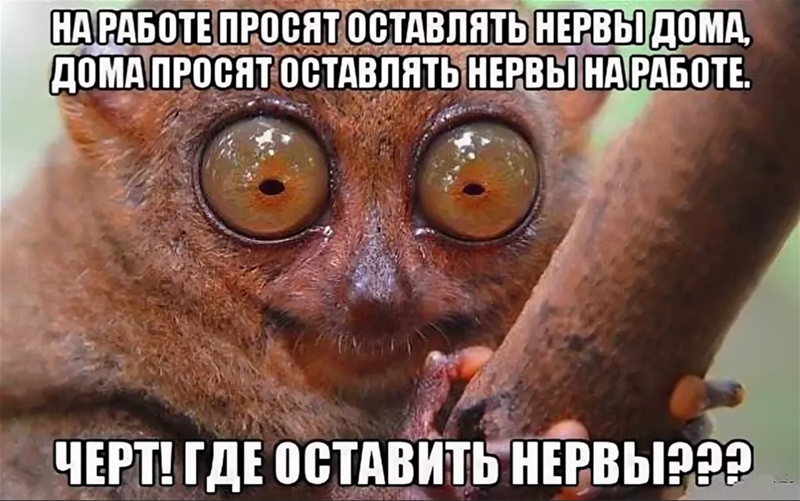 Смешные картинки нервы