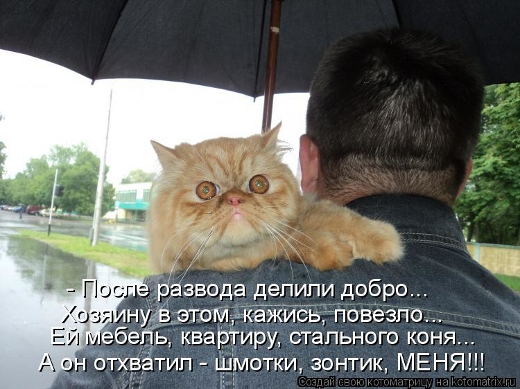 Открытки для разведенных, мои достижения