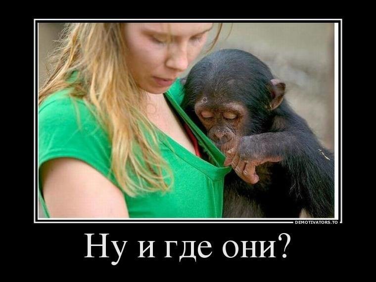 Смешные, смешные картинки а где все