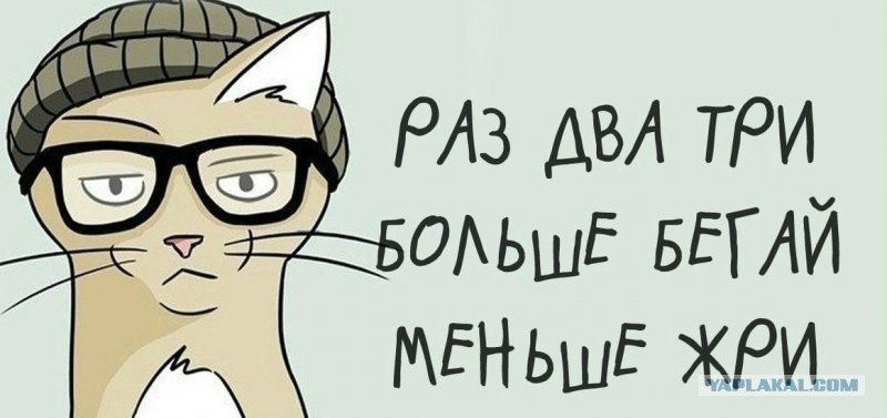 Картинки с надписью не есть не жрать