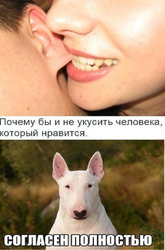 Днем рождения, как мы смешно кусаемся картинки