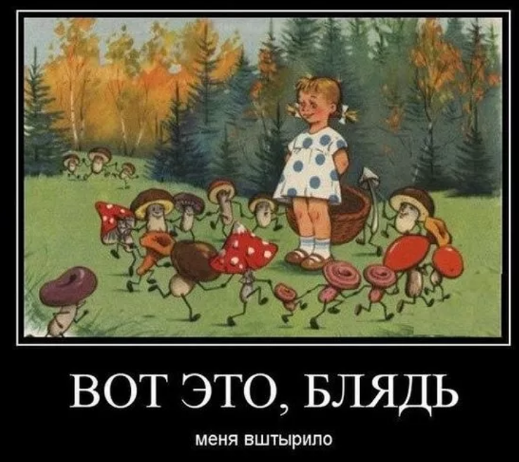 Юмор Про Грибы Картинки