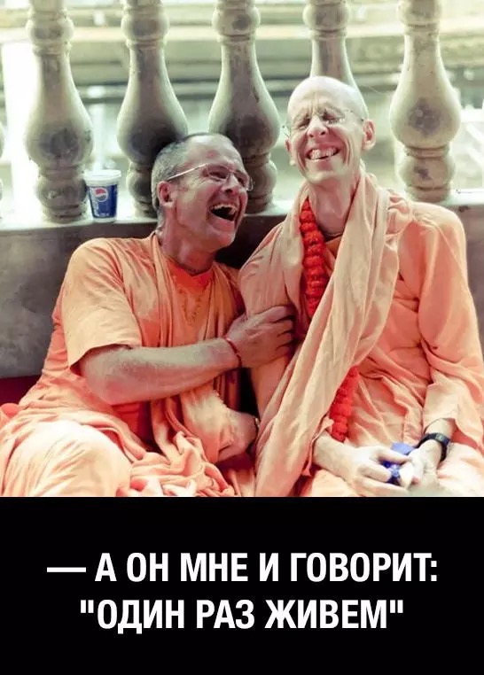 Политика не жизнь 2 дзен