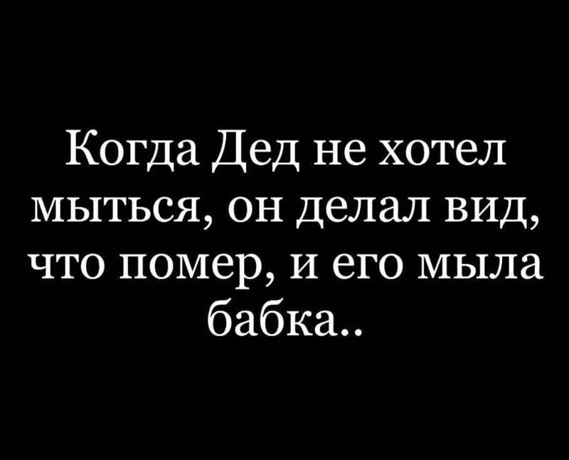 смешные коты с надписями. мокрая кошка. не хочу мыться. не хочу мыться. я иду мыться.