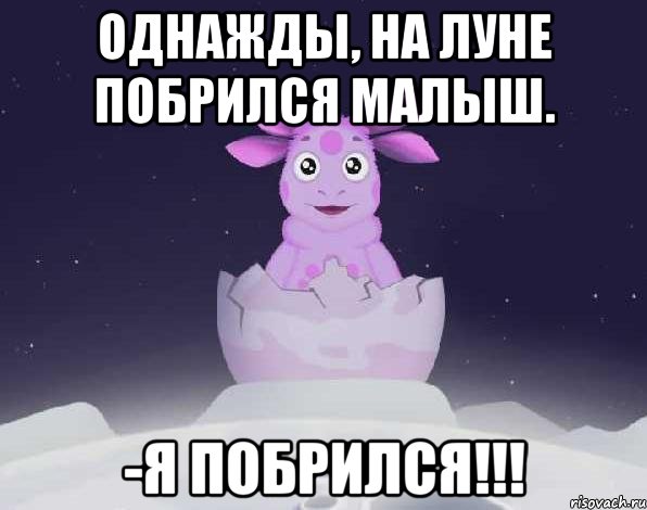 Картинки лунтика приколы с надписями, женщина картинки