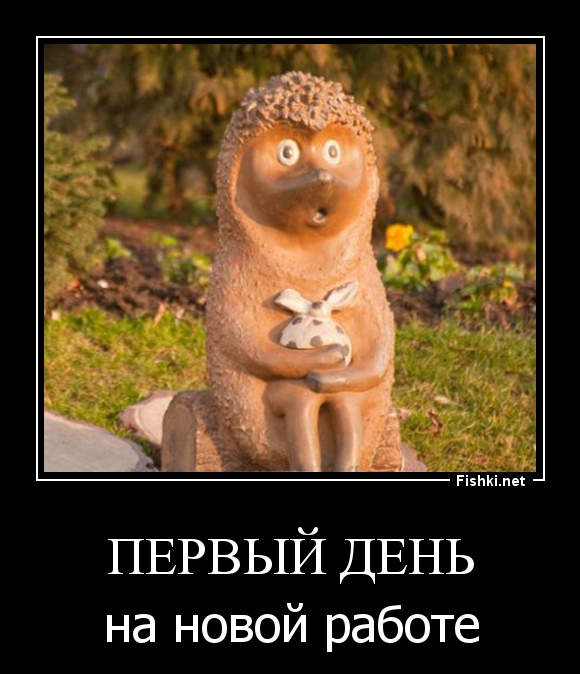 Картинки первый рабочий день