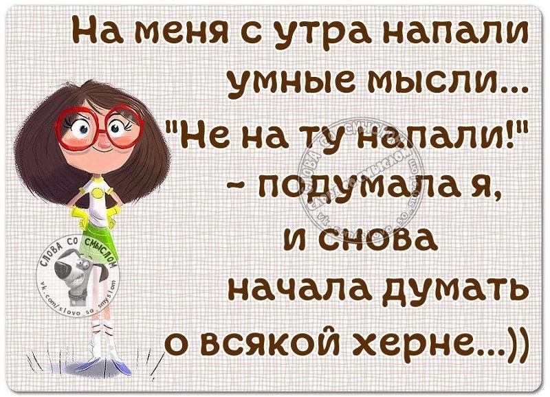 который смешные правильные мысли в картинках начал думу