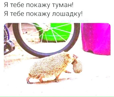 не покажу тебе. не покажу тебе. я тебе сейчас покажу мем. не покажу тебе. а я вам сейчас покажу.