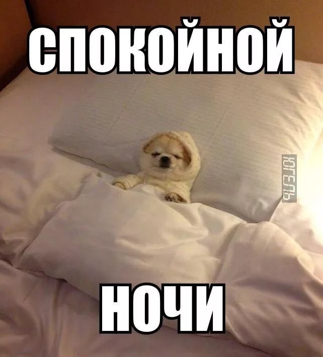 Спокойной ночи Картинки с надписями, прикольные картинки Спокойной ночи Картинки с надписями, прикольные картинки