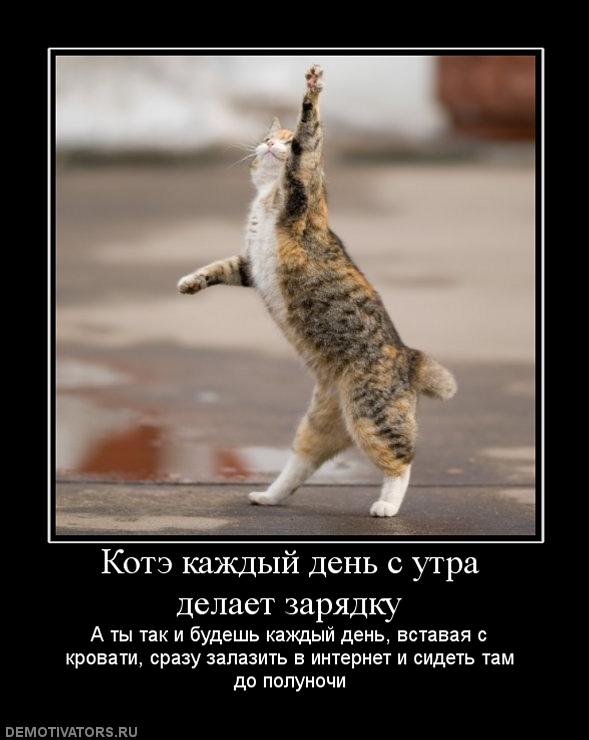 Картинки гиф бодрого утра на зарядку становись, картинки днем рождения