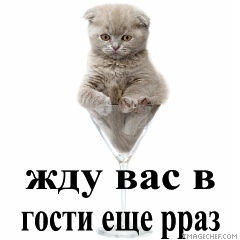 vozle-stenki-kartinki-so-slovami-mi-vas-zhdem-sperma-chernih-kolgotkah