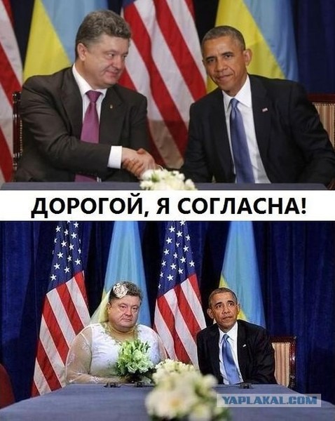приколы про украину и америку фото туфельке открытки картинки