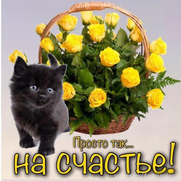 Открытки просто, открытки спасибо