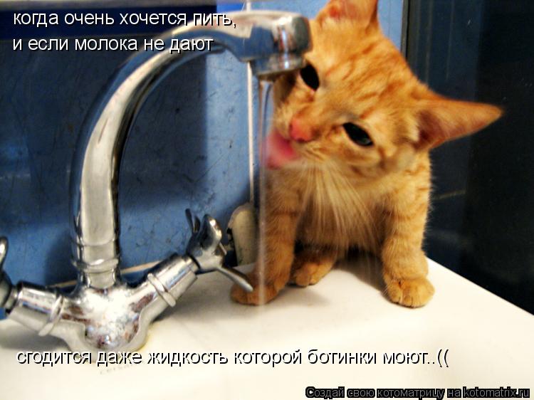 Что делать если сильно хочешь пить. Что делать если сильно хочешь пить