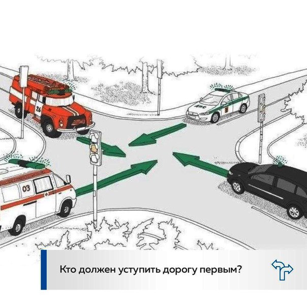 Фото, картинки приколы про пдд
