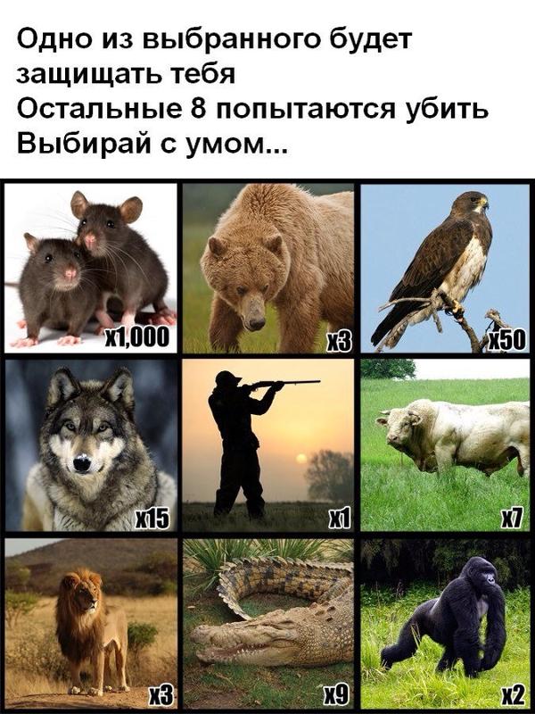 223237700_2328078e335bf7fc9c35b60cbe67f7