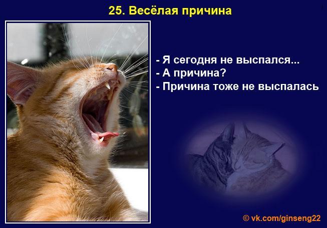 выспись хорошенько картинки смешные. я сегодня не выспалась а причина причина. я не высыпаюсь мем. ты высыпаешься куда высыпаюсь картинка. тоже выспался.
