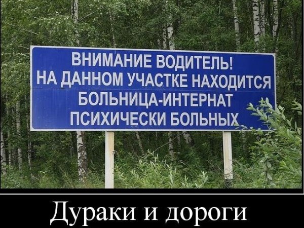 Самые смешные дураки