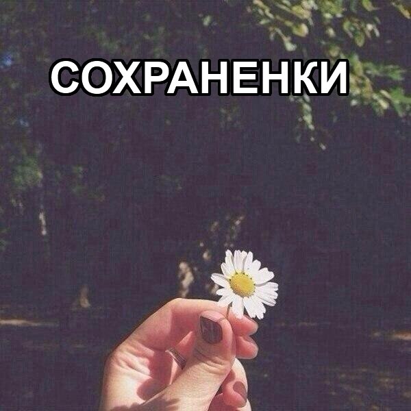 Прикол жирафом, картинки для сохраненок в вк с надписями