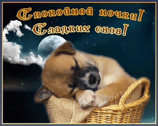 Картинки, открытки, анимация, с пожеланием - Спокойной Картинки, открытки, анимация, с пожеланием - Спокойной
