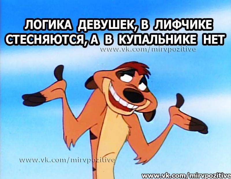 Логика блондинки. Женская логика приколы. Шутки про женскую логику. Логика прикол. Логика девушек.