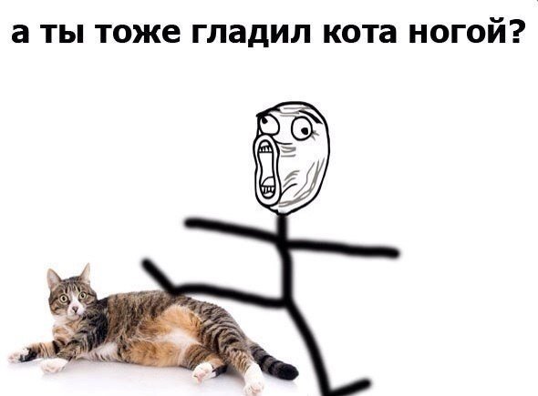 Днем рождения, смешные котики без матов