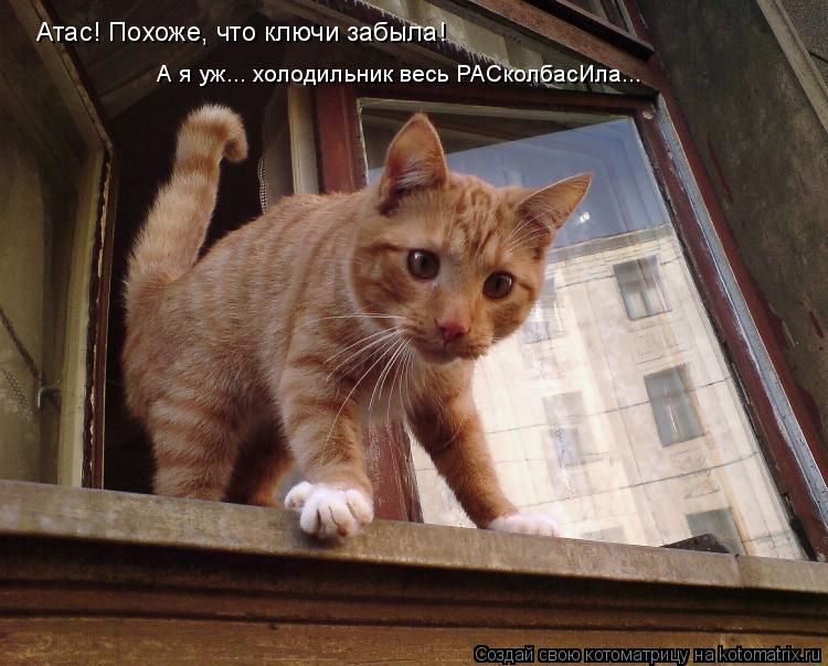 Открытка вася как дела, открытке память