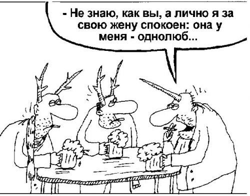 Цветы, прикольные картинки про рогатых мужей