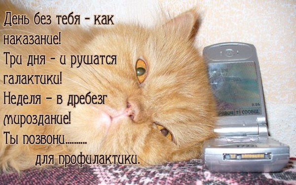 Открытка пропал, турецкие открытки