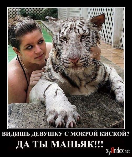 Фото Девушки Как Теребит Она Свою Киску Фото Девушки Как Теребит Она Свою Киску