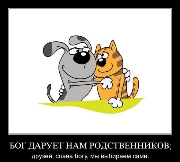 Приколы на картинках выбирать друзей, новогодний шар