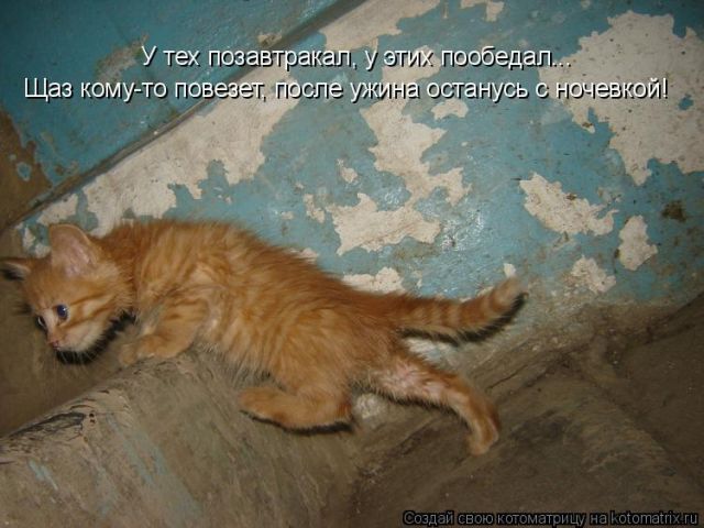 Картинки с надписями повезет