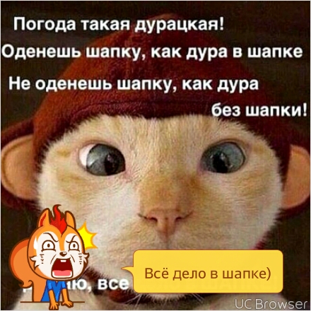 дурацкие шапки. сама дурында. мемы 15 года.