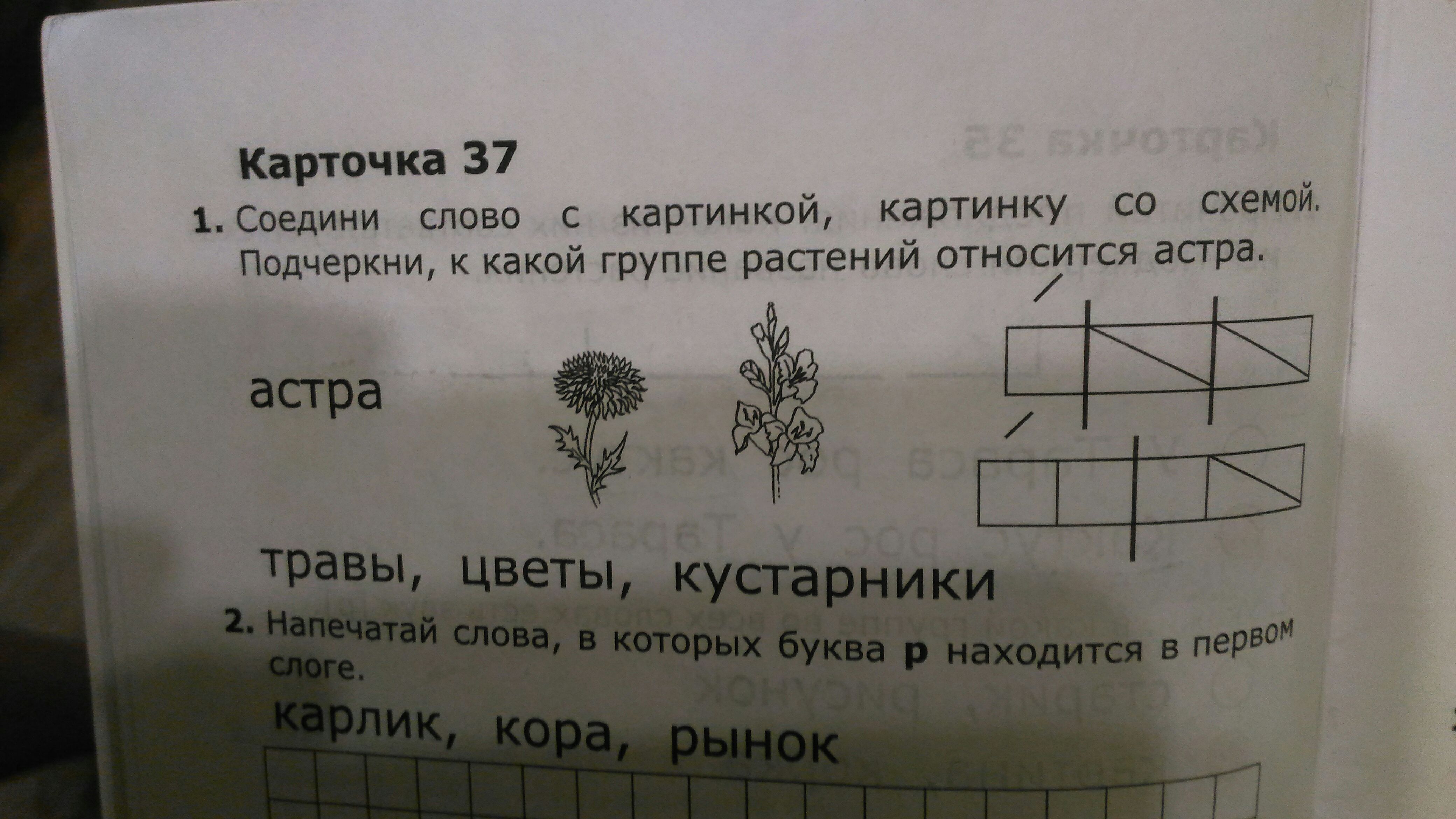 карточки с заданиями для 1 класса по обучению грамоте. карточка 37 астра. карточка 37 1 класс. крылова карточки по обучению грамоте 1. карточка 37 1 класс.