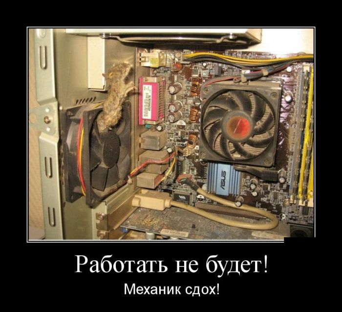 Компьютеры приколы в картинках, надежда
