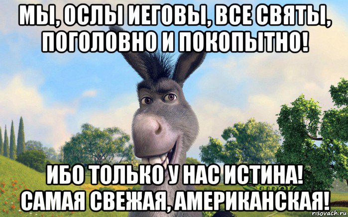 Ответы Mail: У свидетелей иеговы новые истины - самые истинные истины?