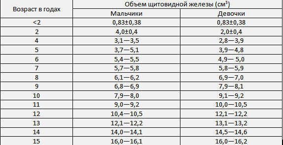 Щитовидная железа размеры у мужчин норма таблица