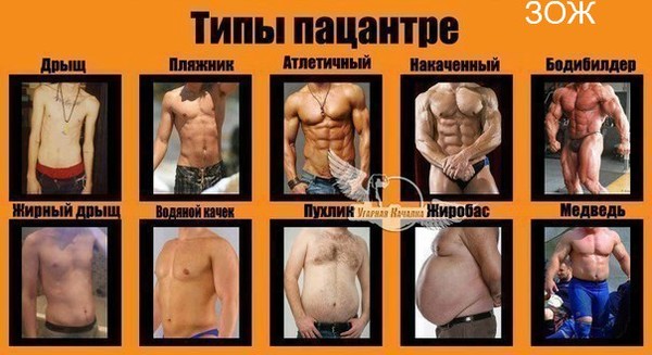 Какой тип фигуры таблица Ответы Mail.ru: Ну что, спортсмен? ) Какой тип тела у тебя?
