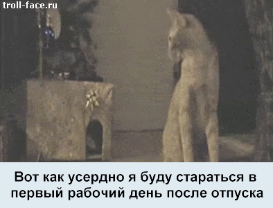 Мем работа после отпуска. Первый день после отпуска прикольные гифки. первый день на работе после отпуска гиф. с первым рабочим днем после отпуска гиф. гифки смешные последний день отпуска.