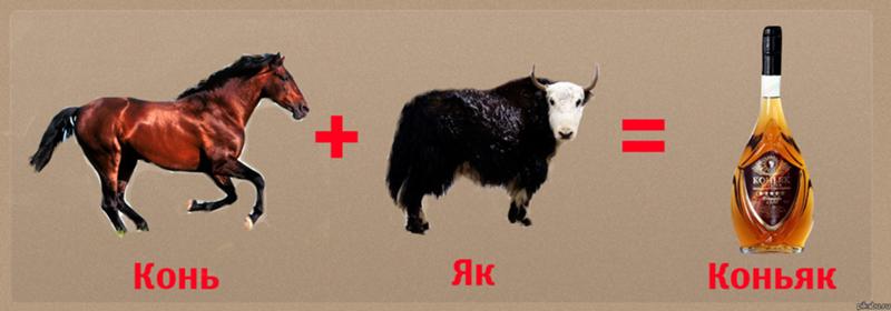 Ответы Mail.ru: А вы что открываете, когда душно? см