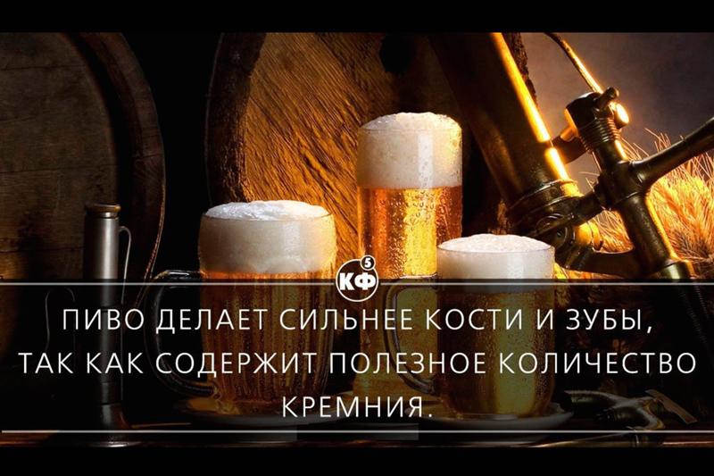 пивные афоризмы картинки даже, несмотря