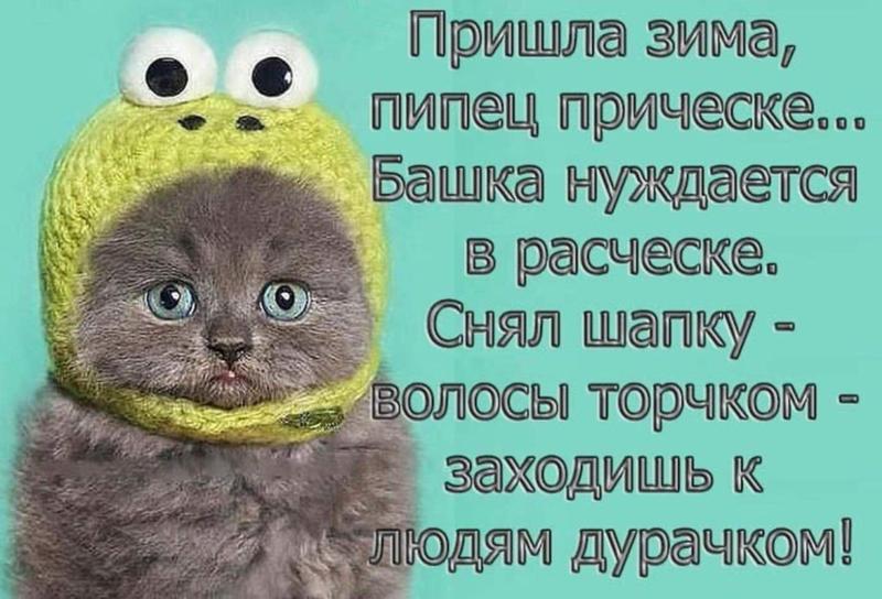 Картинки наступила зима прикольные