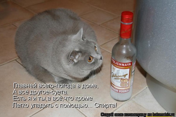 Открытки важней всего погода в доме, картинки приколы