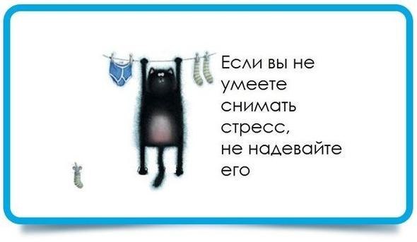 Поздравление, снять стресс смешные картинки