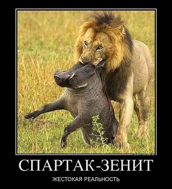 Лучший, зенит спартак приколы картинки