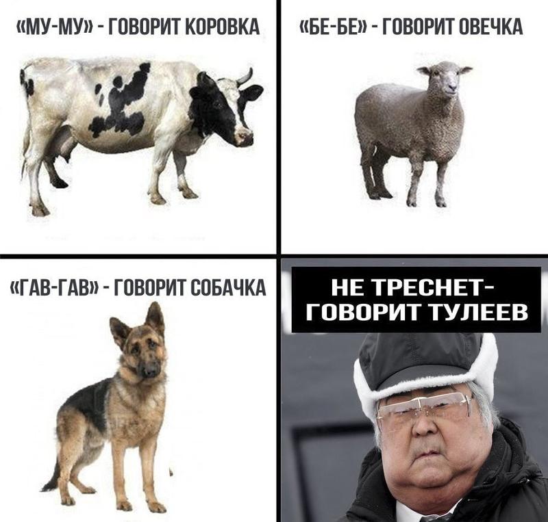 Ответы Mail.ru: Зачем гуси спасли Рим?