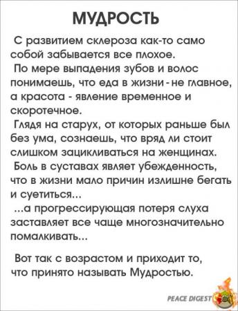с развитием склероза как то само собой забывается всё плохое. что называют мудростью. что называют мудростью. про возраст с юмором. пословицы о народной мудрости.